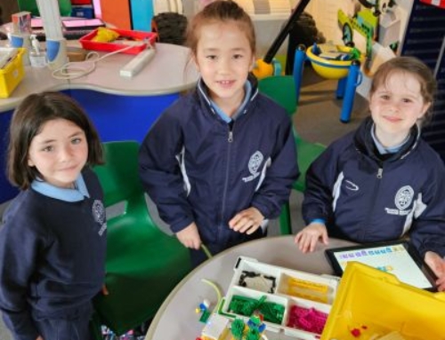 Year 2 Robotics Workshop at Legoland