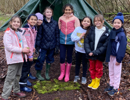 Years 4, 5 and 6 Forest School Trip