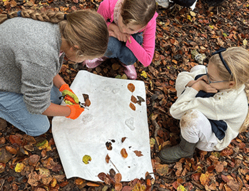 Year 5 & 6 Foresters Trip